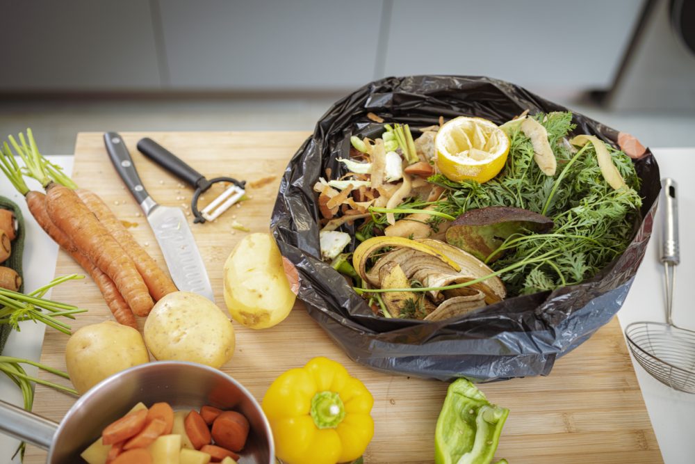 Sepura Promotes World’s First Sustainable Food Waste Separation Product
